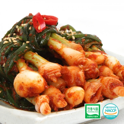 알싸한 전라도 파김치 1kg 2kg 3kg 5kg